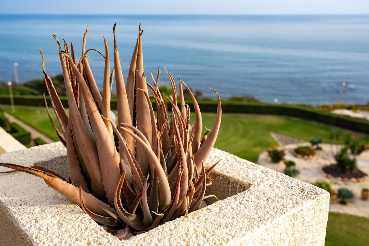 Seaview Terrace By The Beach In El Faro Ref 93 Appartement Buitenkant foto